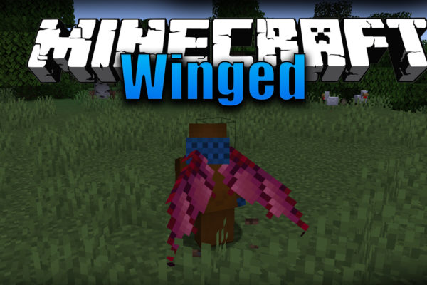 Winget Мод 1.16.5 / 1.12.2 (Новая разновидность элитр)