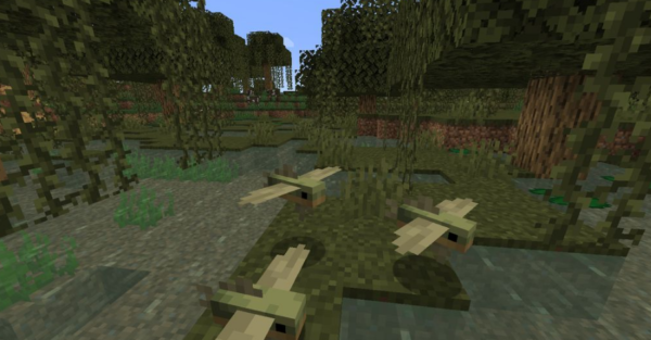 Fins and Tails Мод 1.16.5 (Морские существа)