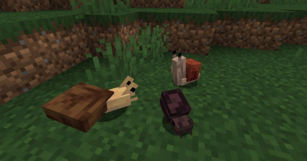 Fins and Tails Мод 1.16.5 (Морские существа)