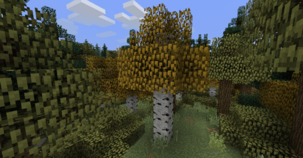Biomes O’ Plenty Мод 1.16.5/1.12.2 (Тонна новых биомов)