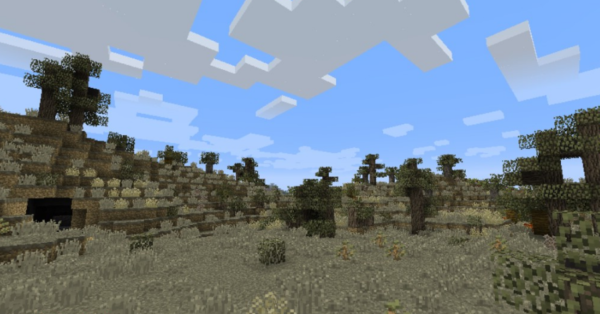 Biomes O’ Plenty Мод 1.16.5/1.12.2 (Тонна новых биомов)