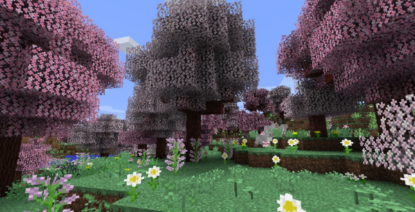 Biomes O’ Plenty Мод 1.16.5/1.12.2 (Тонна новых биомов)