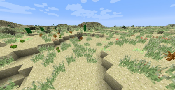 Biomes O’ Plenty Мод 1.16.5/1.12.2 (Тонна новых биомов)