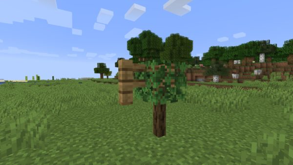 Simple Farming мод 1.16.5 (больше фруктов, овощей и еды)