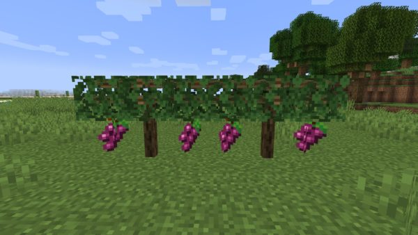 Simple Farming мод 1.16.5 (больше фруктов, овощей и еды)