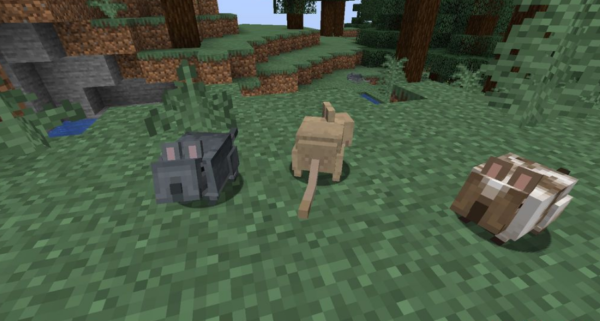 Vanilla Degus Мод1.16.5 (Компаньон, питомец)