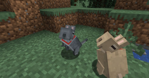 Vanilla Degus Мод1.16.5 (Компаньон, питомец)