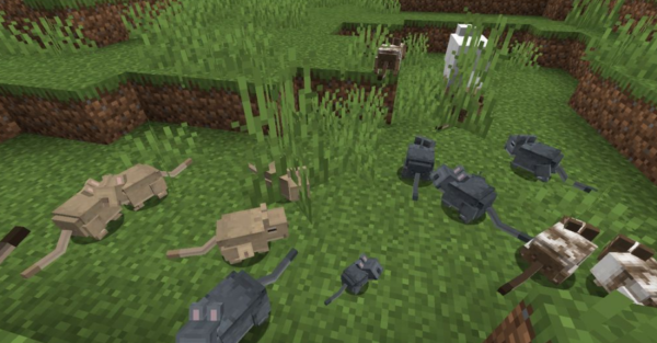 Vanilla Degus Мод1.16.5 (Компаньон, питомец)