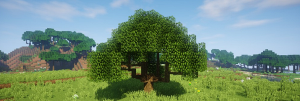 Dynamic Trees мод 1.16.5 (Изменение естественного роста деревьев)