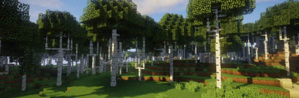Dynamic Trees мод 1.16.5 (Изменение естественного роста деревьев)