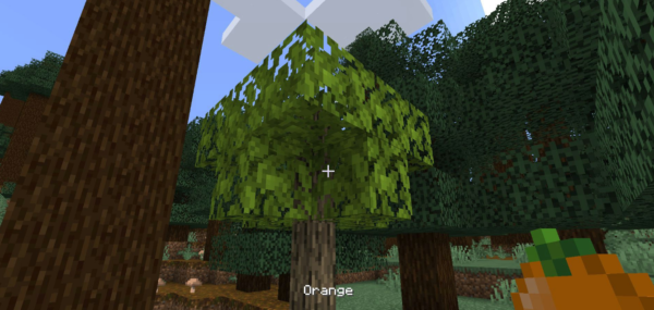 Simple Farming мод 1.16.5 (больше фруктов, овощей и еды)