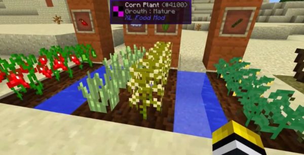 minecraft новая еда