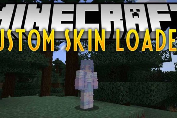 Custom Skin Loader мод 1.17.1 – 1.16.5 (загрузчик скинов)